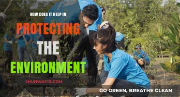 Sustainable Practices: How They Safeguard Our Environment Effectively