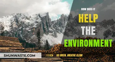 Sustainable Practices: How They Positively Impact Our Environment and Future