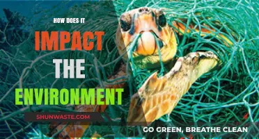 Environmental Impact Unveiled: How Human Actions Shape Our Planet