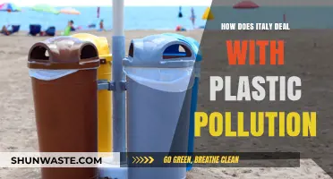 Italy's War on Plastic Pollution: Strategies and Successes