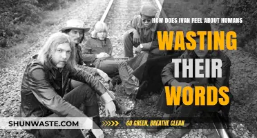 Ivan's Perspective: The Tragedy of Wasted Words in Human Communication