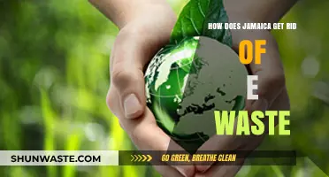 Jamaica's E-Waste Solutions: Strategies for Sustainable Disposal and Recycling
