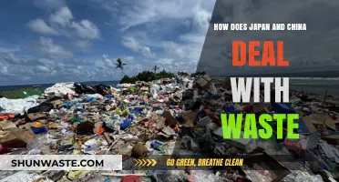 Japan and China's Innovative Waste Management Strategies Compared
