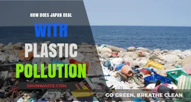 Japan's Plastic Pollution Solutions: A Comprehensive Overview