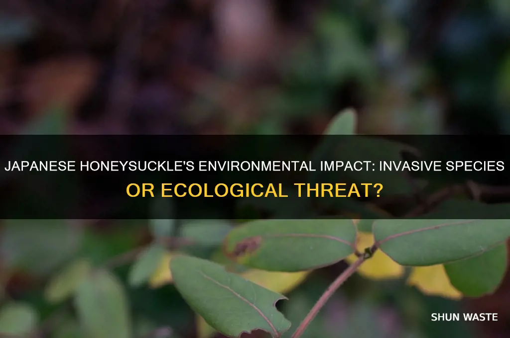 how does japanese honeysuckle affect the environment