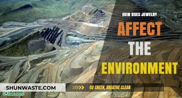 The Environmental Impact of Jewelry: Sustainability, Ethics, and Eco-Friendly Choices