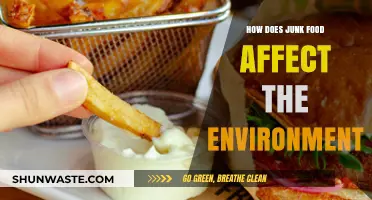 Junk Food's Hidden Costs: Environmental Impact and Sustainability Concerns