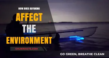 Kayaking's Environmental Impact: Exploring Nature's Balance and Conservation Efforts