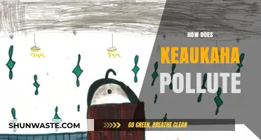 The Troubled Waters of Keaukaha: Pollution's Impact