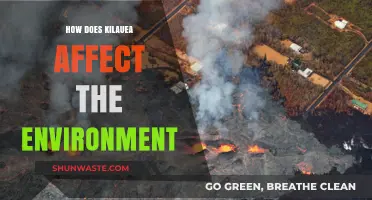 Kilauea's Eruptions: Environmental Impacts and Ecosystem Changes Explored