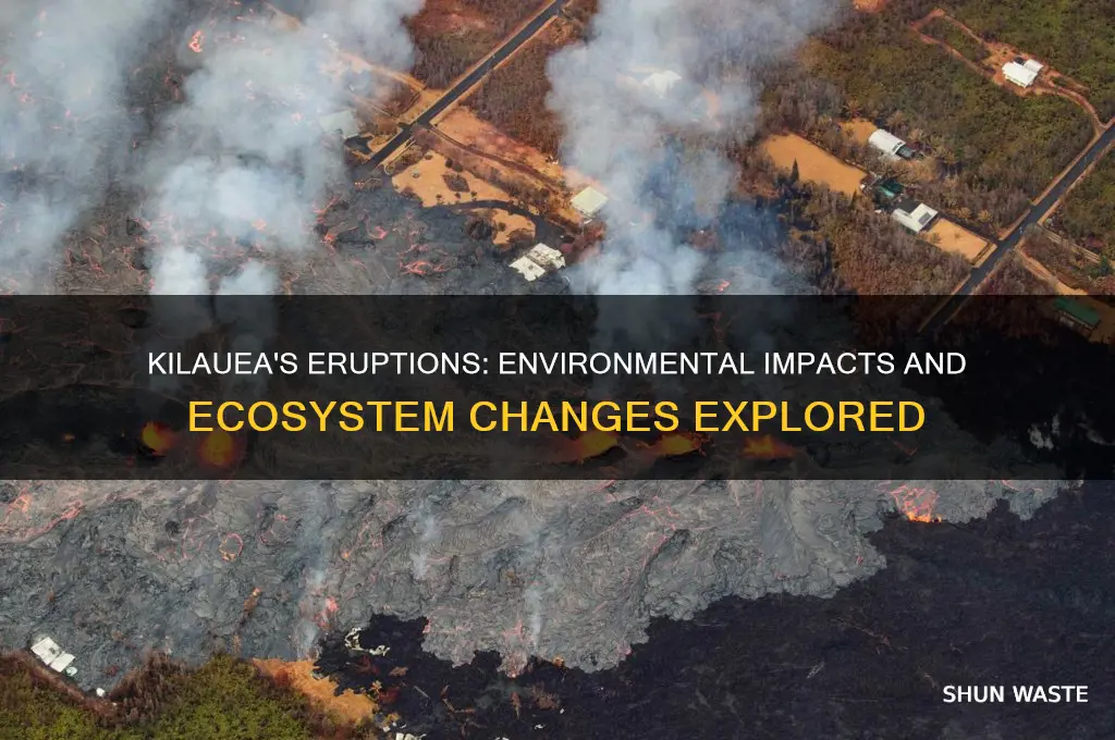 how does kilauea affect the environment