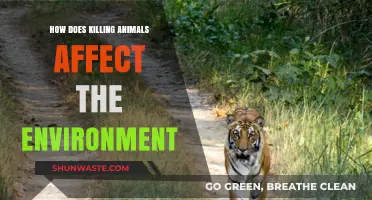 Killing Animals: Environmental Impacts and Ecosystem Disruption Explained