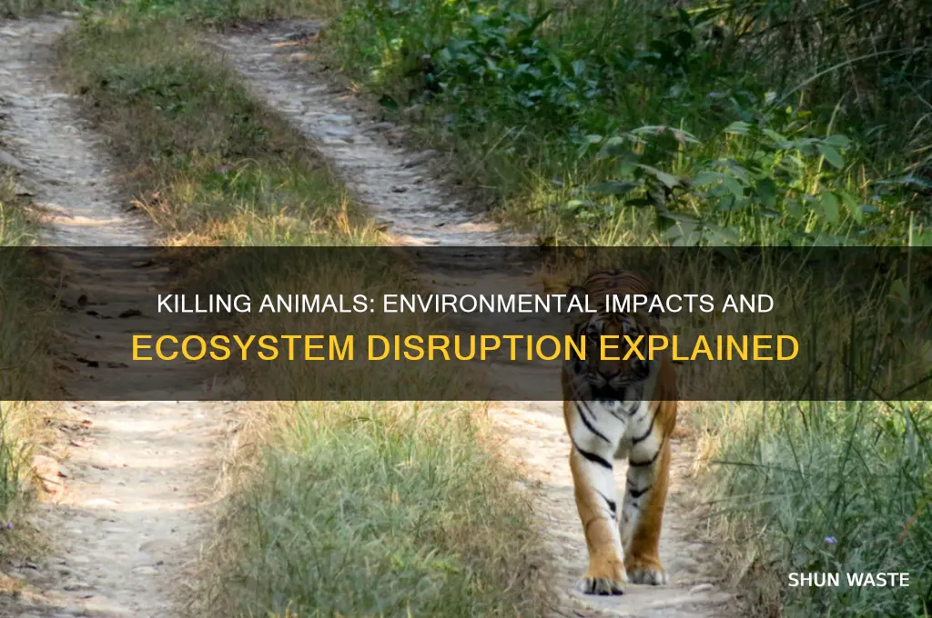 how does killing animals affect the environment