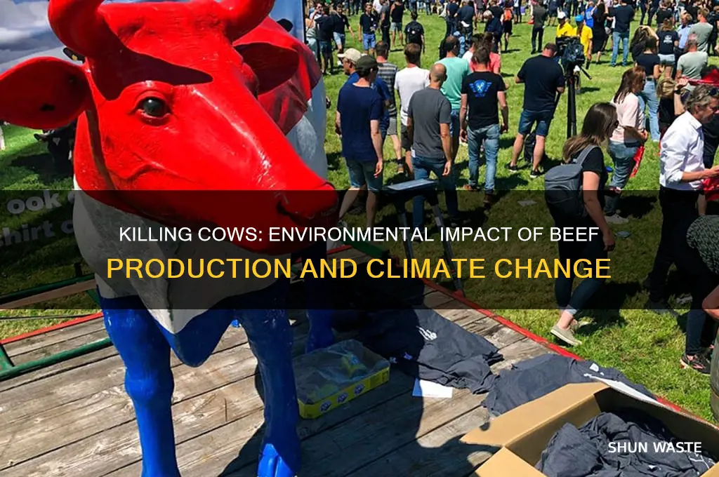 how does killing cows affect the environment