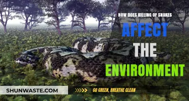 Snake Extinction's Impact: How Killing Snakes Disrupts Ecosystems and Environment