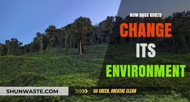 Kudzu's Invasive Impact: Transforming Ecosystems and Altering Environments Rapidly