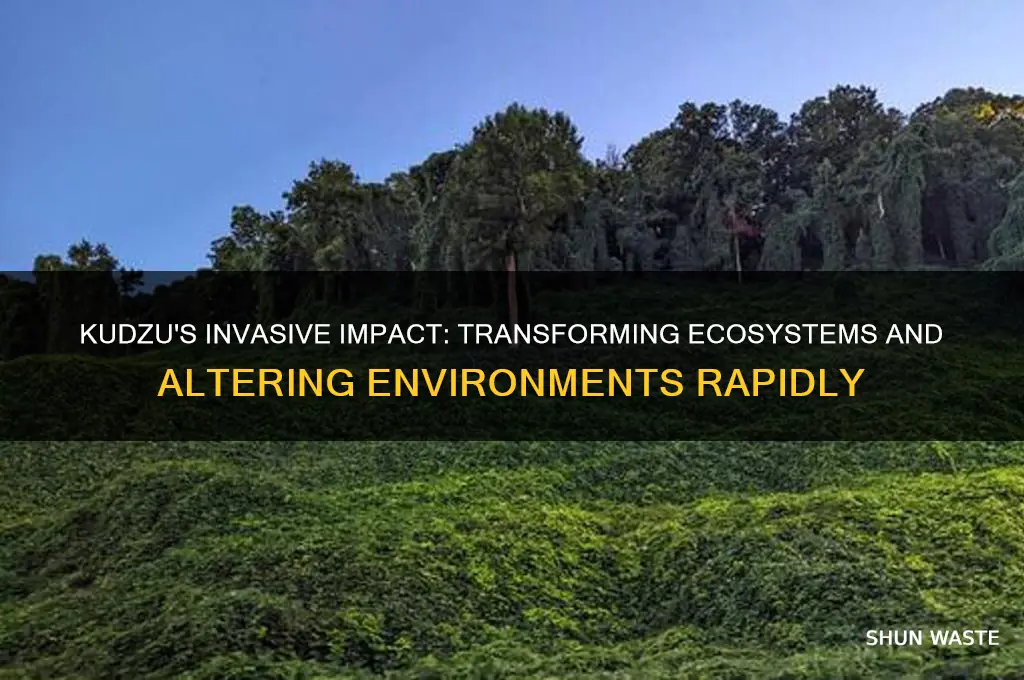 how does kudzq change its environment