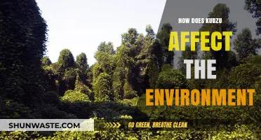 Kudzu's Environmental Impact: Invasive Species Threatening Ecosystems and Biodiversity