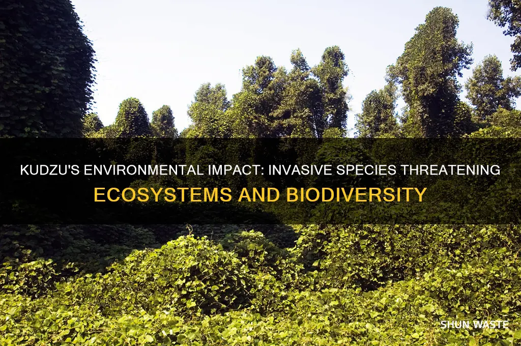 how does kudzu affect the environment