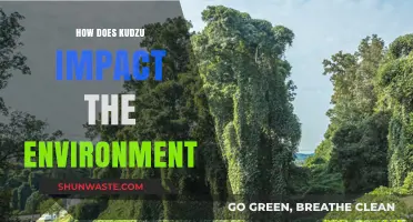 Kudzu's Environmental Impact: Invasive Species Threatening Ecosystems and Biodiversity