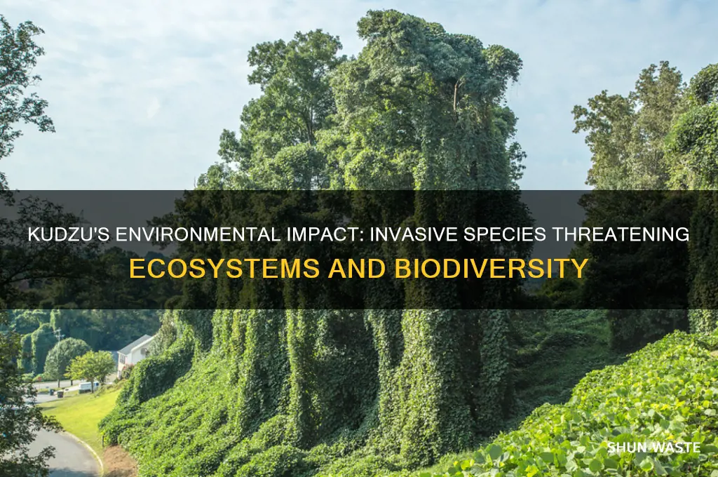 how does kudzu impact the environment