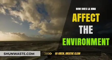 La Niña's Environmental Impact: Climate Shifts and Ecosystem Changes Explained