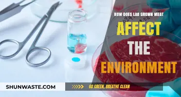 Lab-Grown Meat: Environmental Impact and Sustainable Food Future Explored