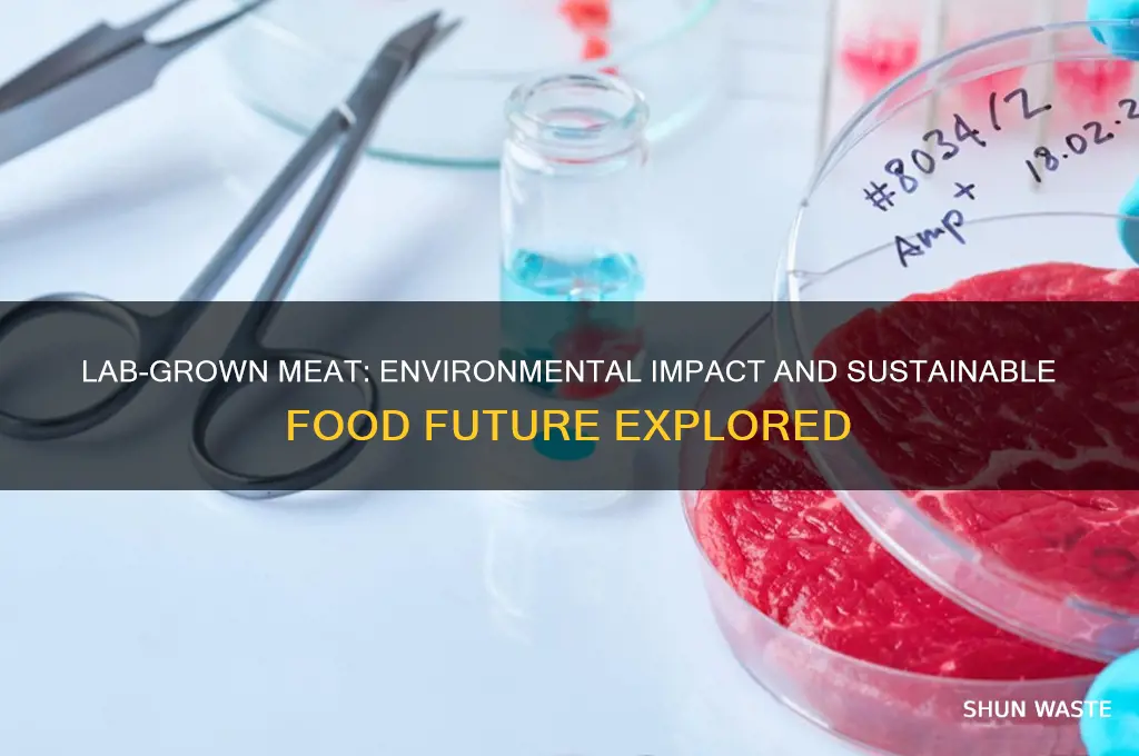 how does lab grown meat affect the environment