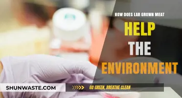 Lab-Grown Meat: A Sustainable Solution for Environmental Conservation