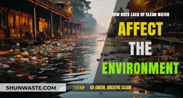 Lack of Clean Water: Environmental Impacts and Ecosystem Consequences Explained
