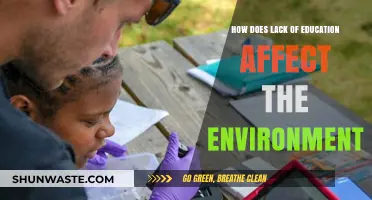 Uneducated Societies, Degraded Ecosystems: The Environmental Cost of Ignorance