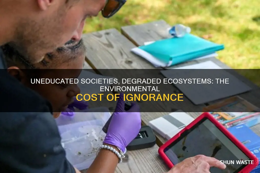 how does lack of education affect the environment