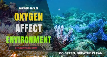 Oxygen Depletion: Environmental Impacts and Ecosystem Consequences Explained