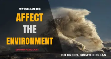 Lake Erie's Environmental Impact: Ecosystem, Climate, and Biodiversity Explored