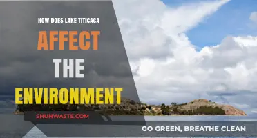 Lake Titicaca's Environmental Impact: Ecology, Culture, and Sustainability Explored