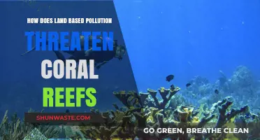 Land Pollution: A Lethal Threat to Coral Reefs