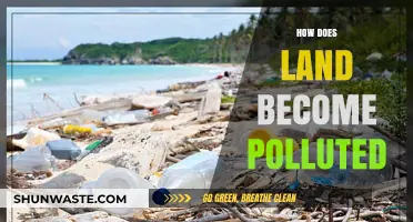 Land Pollution: Causes and Effects