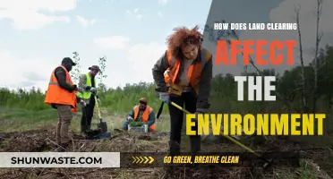 Land Clearing's Devastating Impact: Environmental Consequences and Ecosystem Disruption