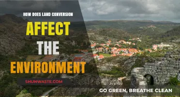 Land Conversion's Impact: Environmental Consequences and Sustainable Solutions Explored