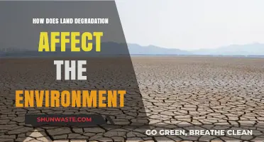 Land Degradation's Devastating Impact on Ecosystems and Climate Change