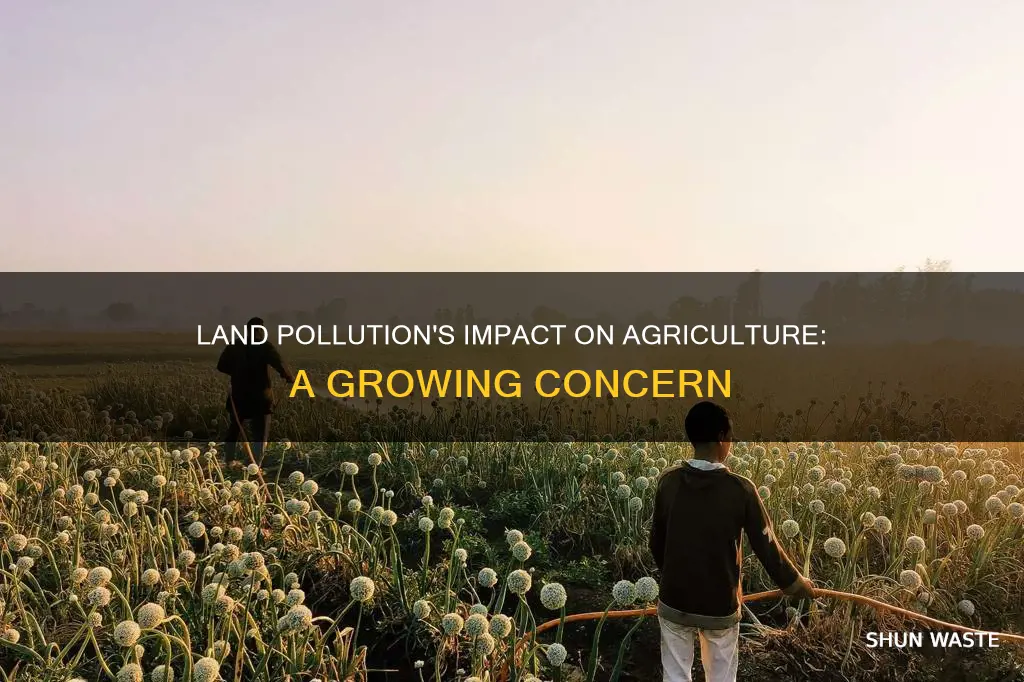 how does land pollution affect agriculture