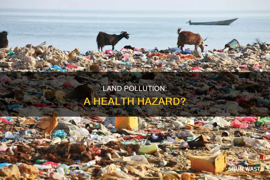 how does land pollution affect health