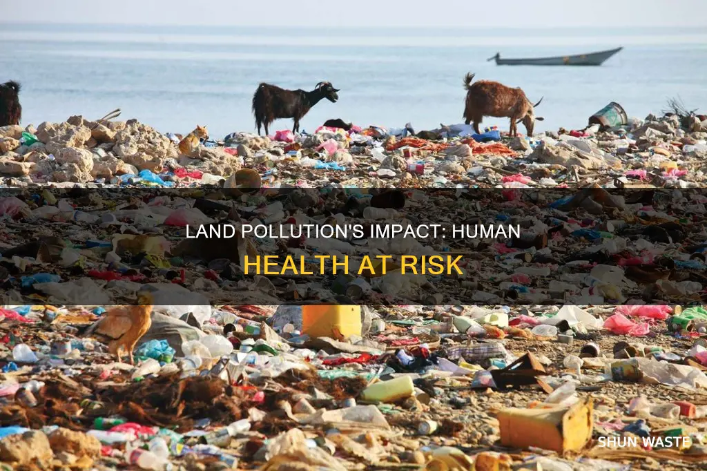 how does land pollution affect human life