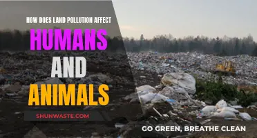 Land Pollution: Harming Humans and Animals Alike