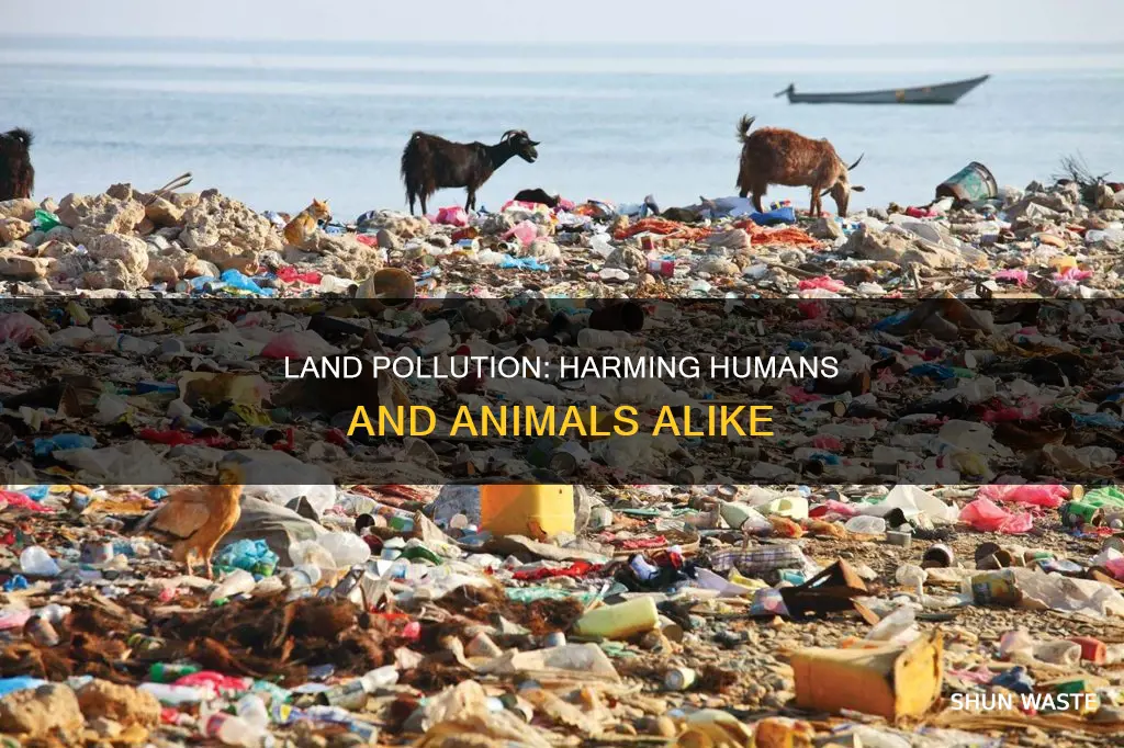 how does land pollution affect humans and animals