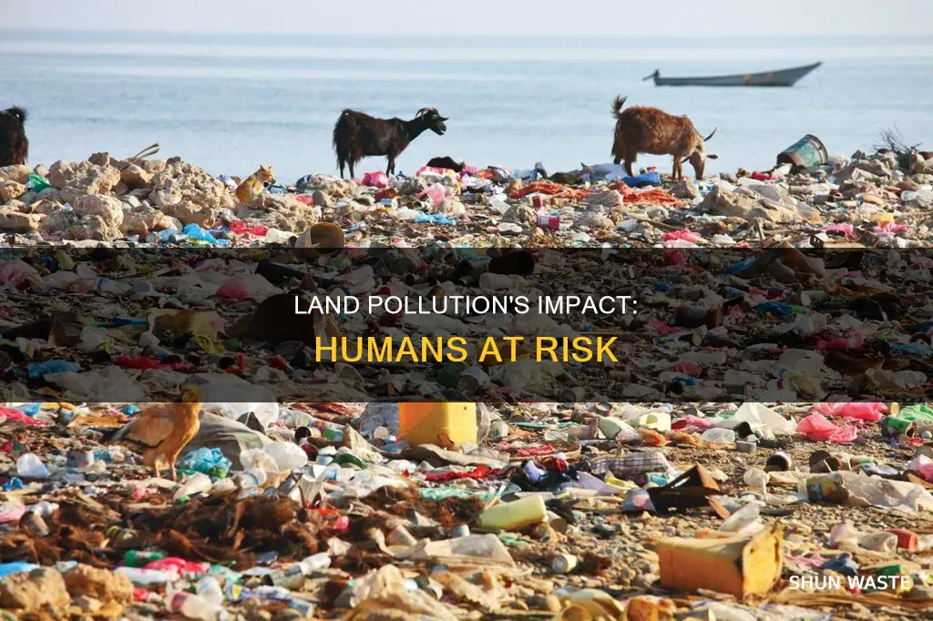 how does land pollution affect humans