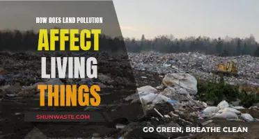 Land Pollution: Harming All Life, Not Just Humans