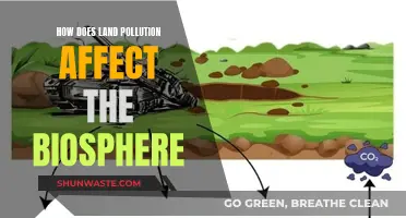 Land Pollution's Impact: The Biosphere's Plight