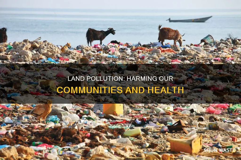 how does land pollution affect the community