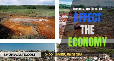 Land Pollution's Economic Impact: A Costly Affair